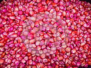 Corn seed chemically treated