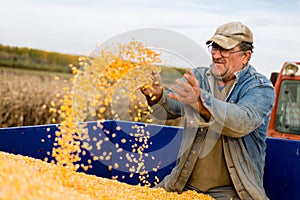 Corn seed in hand of farmer.