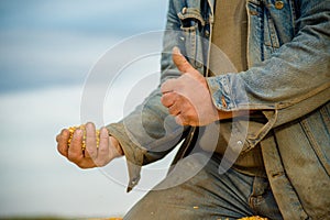 Corn seed in hand of farmer