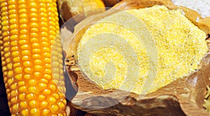 Corn seeds and flour