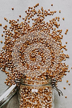 Corn seeds and a glass jar container on a grey background