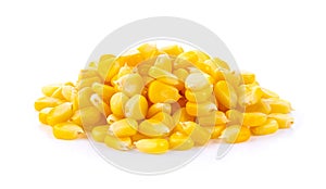 Corn seeds on the white background