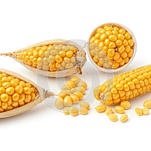 Corn seeds, isolated on white background