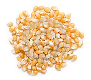 Corn Seeds Pile