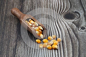 Corn seeds for popcorn isolated on dark rustic background. Copy space