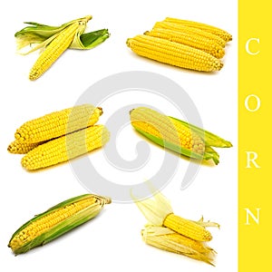 Corn set