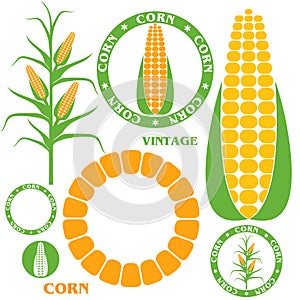 Corn. Set