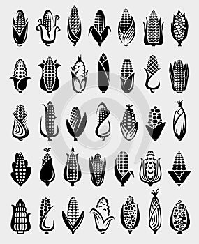 Corn set. Collection icon corn. Vector
