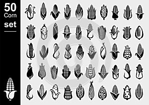 Corn set. Collection icon corn. Vector