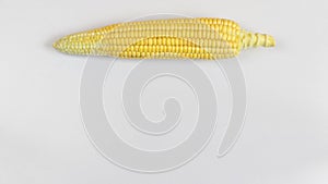 Corn single