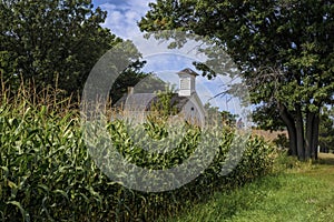 Corn Stalks, Schoolhouse photo