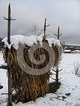 Corn Straw Stack in a Snowy Rural Setting