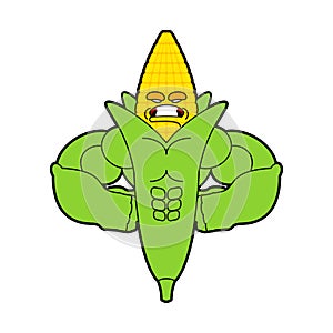 Corn Strong Cool serious. maize powerful strict. Cereals Vector illustration