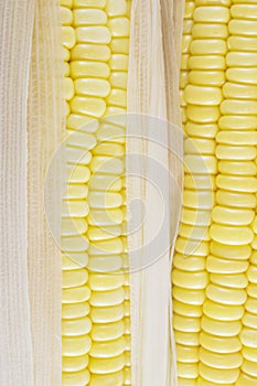 Corn