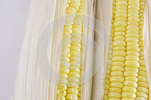 Corn