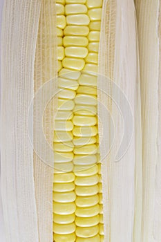 Corn