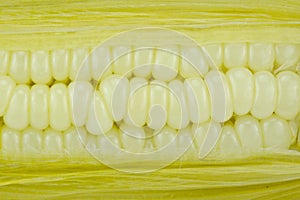 Corn two