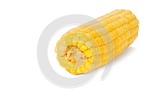 Corn used for a cooked ear of freshly picked maize from a cultivar of sweet corn still tender. Steamed or boiled