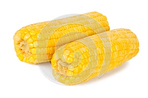 Corn used for a cooked ear of freshly picked maize from a cultivar of sweet corn still tender. Steamed or boiled