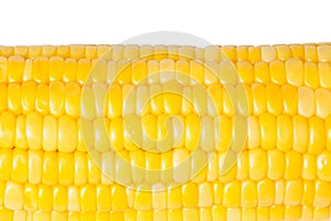 Corn used for a cooked ear of freshly picked maize from a cultivar of sweet corn still tender. Steamed or boiled