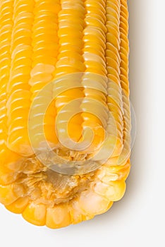 Corn used for a cooked ear of freshly picked maize from a cultivar of sweet corn still tender. Steamed or boiled