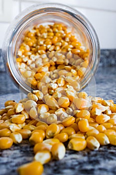 Corn used to make popcorn coming out of a glass pot but uncooked and upopped. Raw ingredient used for food