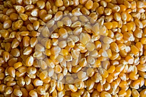 Corn used to make popcorn but uncooked and upopped. Raw ingredient used for food