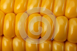 Corn vegatable closeup background