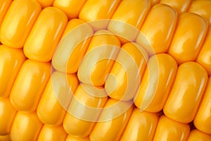 Corn vegatable closeup background