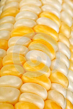 Corn vegatable closeup background