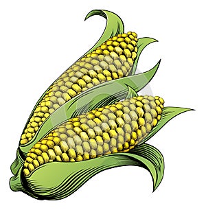 Corn vintage woodcut illustration photo