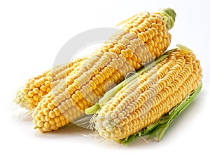 Corn on a white background.