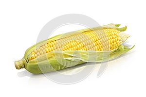 Corn on white background