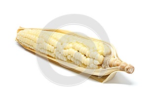 Corn white background closeup detail