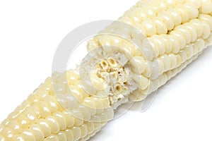 Corn white background closeup detail