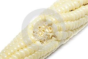 Corn white background detail