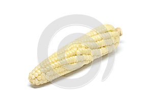 Corn white background detail isolated