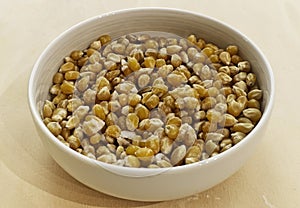 Corn in a white bowl on wooden table