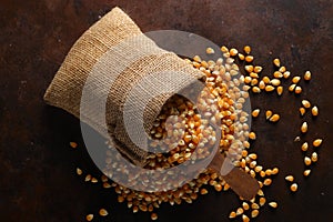 Corn with wooden scoop in burlap bag isolated on dark rustic background. Corn seeds in sack. Dry uncooked corn grains for popcorn