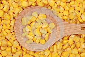 Corn on a wooden spoon