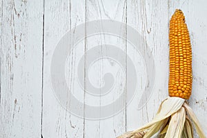 Corn (Zea mays) close-up
