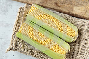 Corncob