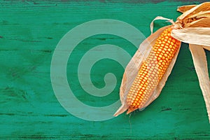 Corncob on rustic wooden background, top view