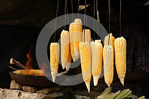 Corncobs