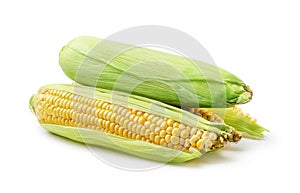 Corncobs or corn ears isolated