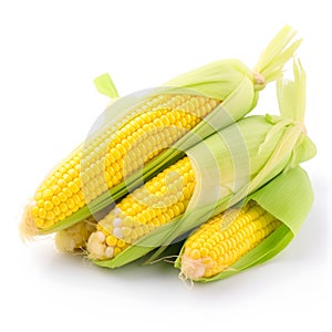 Corncobs or corn ears isolated on white background as package design element.