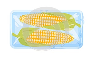 Corncobs in plastic tray, fresh corn crop in supermarket package, raw summer vegetable