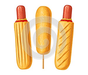 Corndog and hotdog with ketchup, mustard. Vector color realistic illustration.