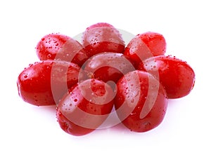 Cornel Berry isolated.