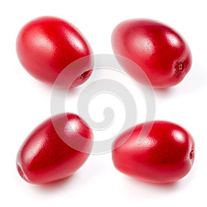 Cornel. collection on a white.